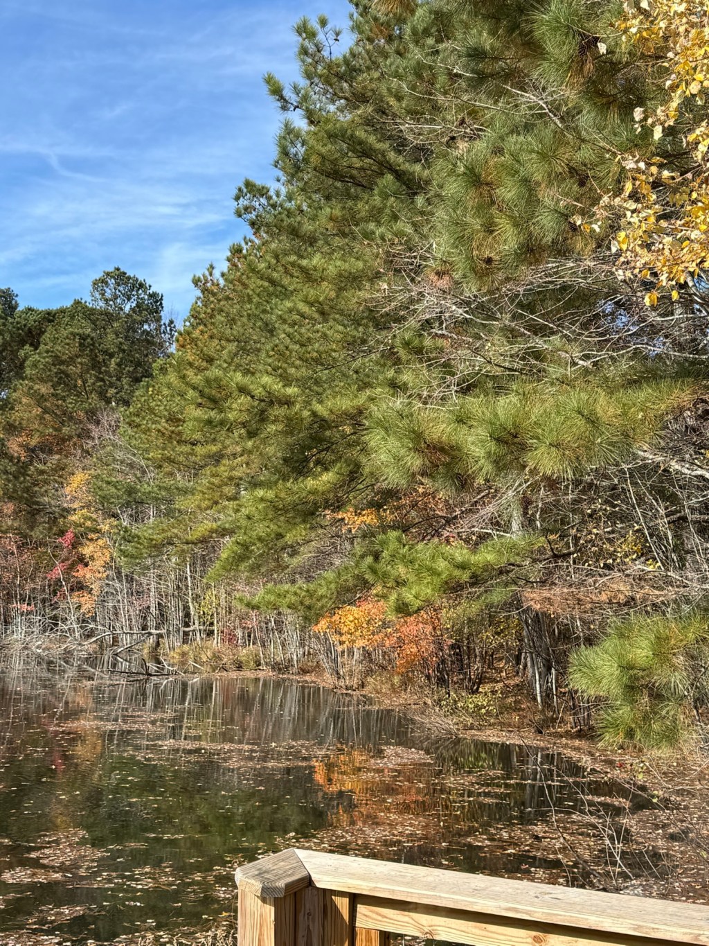 Survival Mode: It’s not a moral&nbsp;failing